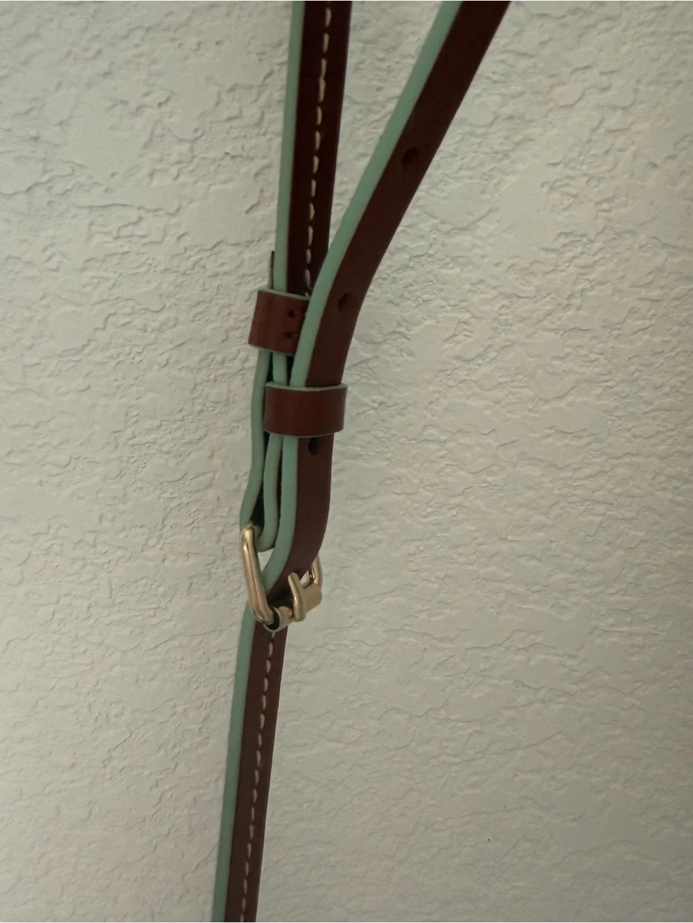 Dooney & Bourke Aqua Disney Dogs Crossbody with Brown Trim